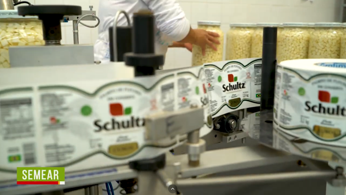 Com todos esses elementos, garantimos que seu material seja visualmente impactante e desperte emoções no público, incentivando a compra.